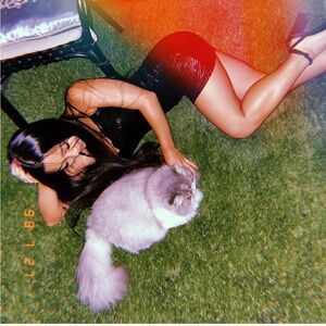 Meshki Black Dress with Gray Cat